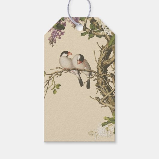 Lila und weiße Lilacs mit Bird Chinese Antique Geschenkanhänger (Vorderseite)