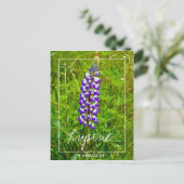 Lila und weiße Lupine | Lupin | Lupinus-Blume Postkarte (Stehend Vorderseite)