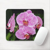 Lila und weiße Orchidee Mousepad (Mit Mouse)
