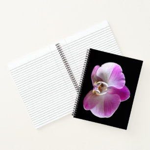 Lila und weiße Orchidee Notizblock