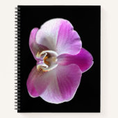 Lila und weiße Orchidee Notizblock (Vorderseite)