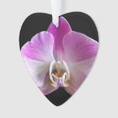 Lila und weiße Orchidee Ornament (Vorderseite)