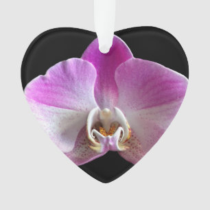 Lila und weiße Orchidee Ornament