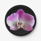 Lila und weiße Orchidee Pappteller (Vorderseite)