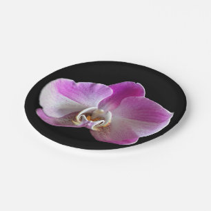 Lila und weiße Orchidee Pappteller