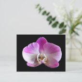 Lila und weiße Orchidee Postkarte (Stehend Vorderseite)