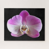 Lila und weiße Orchidee Puzzle (Horizontal)