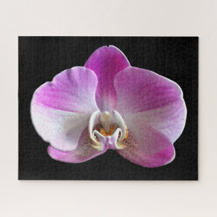 Lila und weiße Orchidee Puzzle