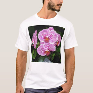 Lila und weiße Orchidee T-Shirt