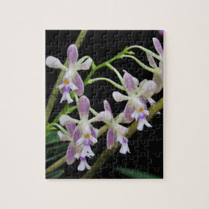 Lila und weiße Orchideen Puzzle