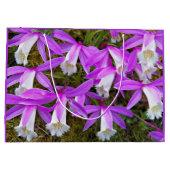 Lila und weiße Pleione Orchideen Große Geschenktüte (Rückseite)