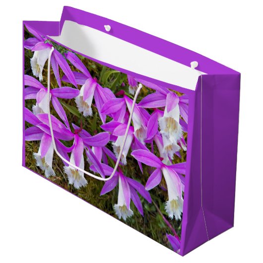 Lila und weiße Pleione Orchideen Große Geschenktüte (Vorderseite Schrägansicht)
