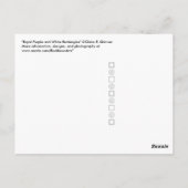 Lila und weiße Rechtecke Postkarte (Rückseite)