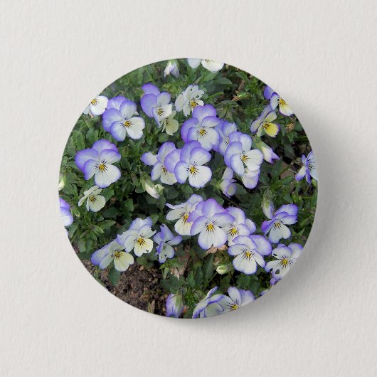 Lila und weiße Stiefmütterchen Button (Vorderseite)