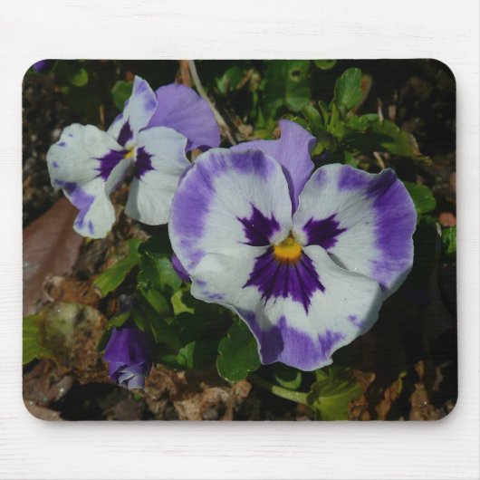 Lila und weiße Stiefmütterchen farbenfroh bläserne Mousepad (Vorne)
