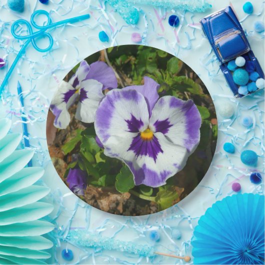 Lila und weiße Stiefmütterchen farbenfroh bläserne Pappteller (Party)