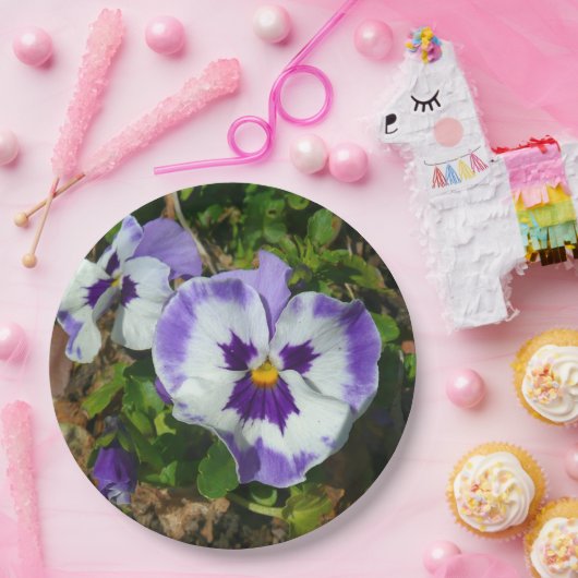 Lila und weiße Stiefmütterchen farbenfroh bläserne Pappteller (Party)