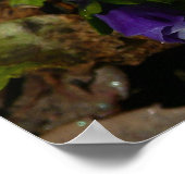 Lila und weiße Stiefmütterchen farbenfroh bläserne Poster (Ecke)