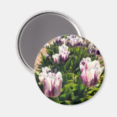 Lila und weiße Streifen Magnet (Vorderseite/Rückseite)