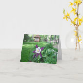 Lila und weißes Columbine Karte (Gelbe Blume)