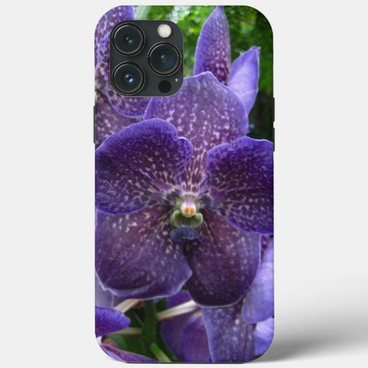 Lila Vanda iPhone 13 Pro Max Fall Case-Mate iPhone Hülle (Rückseite)
