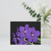 Lila Vanda-Orchidee Postkarte (Stehend Vorderseite)