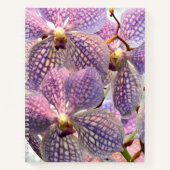Lila Vanda-Orchideen-Blumen Notizblock (Vorderseite)