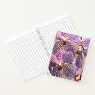 Lila Vanda-Orchideen-Blumen Notizblock