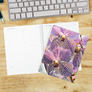 Lila Vanda-Orchideen-Blumen Planer