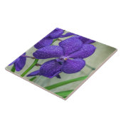 Lila Vanda Orchideen Keramik Fliesen (Seite)