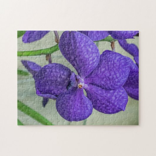Lila Vanda-Orchideenpuzzle Puzzle (Horizontal)