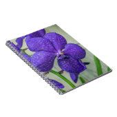 Lila Vanda Orchio Notebook Notizblock (Rechte Seite)
