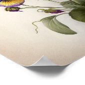 Lila Veilchen-Blumen-Kunstposter Poster (Ecke)