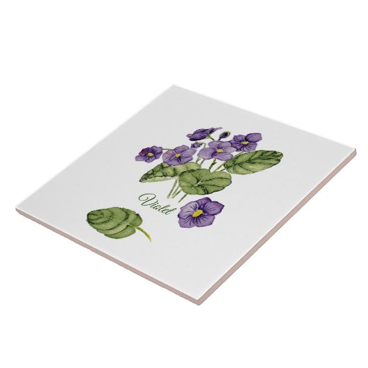 Lila Veilchen Botanischer Klassiker Fliese (Seite)