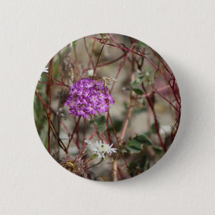 Lila Verbena und weiße Nadelkissen-Wildblumen Bu Button