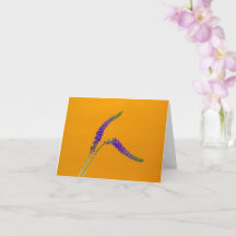 Lila Veronicas Grußkarte