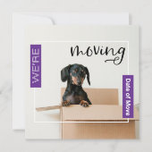 Lila verschieben wir Dackel Hund in Box Card Dankeskarte (Vorderseite)