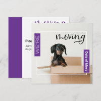 Lila verschieben wir Dackel Hund in Box Card