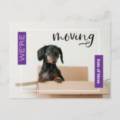 Lila verschieben wir Dackel Hund in Box Postcard Postkarte (Vorderseite)