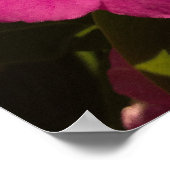 Lila Vinca-Poster Poster (Ecke)