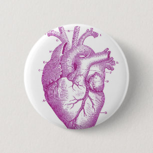 Lila Vintage-Herzanatomie Button