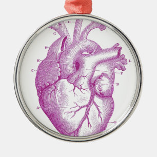 Lila Vintage-Herzanatomie Silbernes Ornament