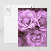 Lila Vintage Rose Postkarte (Vorne/Hinten)
