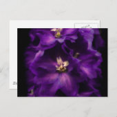 Lila Vintages Delphinium Postkarte (Vorne/Hinten)