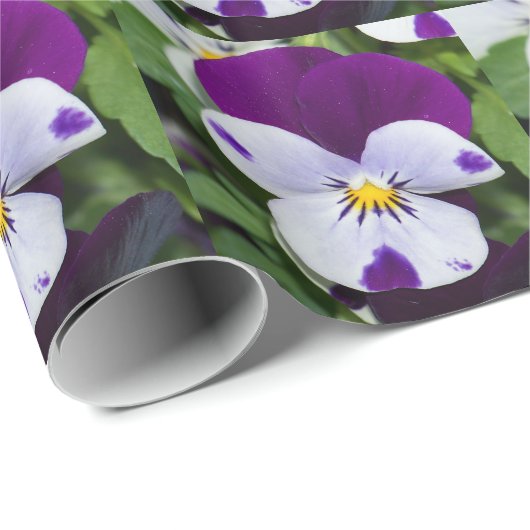 Lila Viola Geschenkpapier (Rolleneckpunkt)