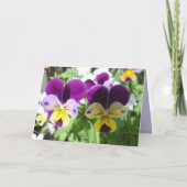 Lila Viola Pansy Hübsche Blume Blumenkarte Karte (Rückseite)