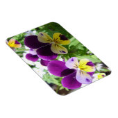 Lila Viola Pansy Hübsche Blume Blumenkarte Magnet (Rechte Seite)