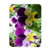 Lila Viola Pansy Hübsche Blume Blumenkarte Magnet (Vertikal)