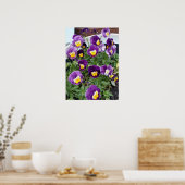 Lila Viola Violas Blumengarten Poster (Küche)