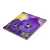 Lila Violas Fliese (Seite)